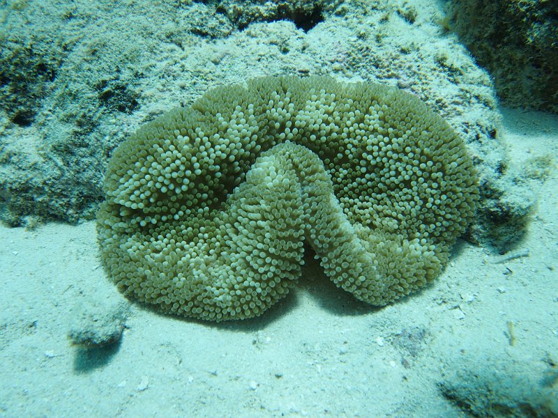 Curacao 04-12 165.JPG